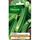 VILMORIN Courgette non coureuse d’Italie