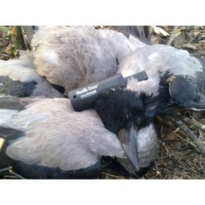 Appeau corbeau - Achat / Vente pas cher