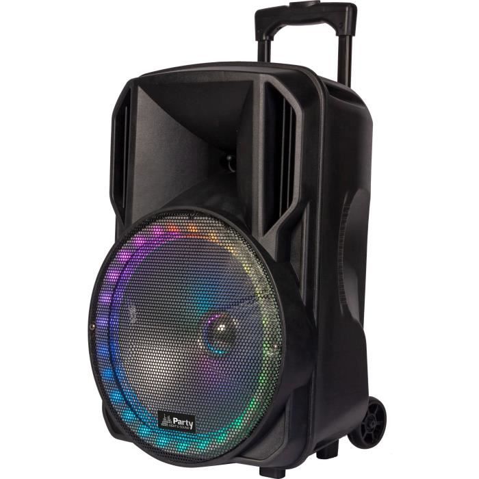 PARTY LIGHT & SOUND 15-6116PLS Enceinte portbale 15\