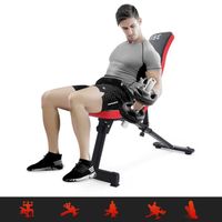BANC DE MUSCULATION ISE Banc de musculation incliné, réglable SY-5021 BANC DE MUSCULATION ISE Banc de musculation incliné, réglable SY-5021