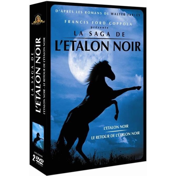 DVD DESSIN ANIME DVD Létalon noir ; Le retour de létalon noir