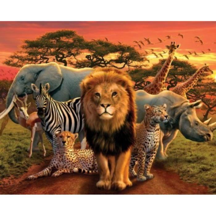  Animaux  Mini Poster  Royaume Africain 40 x 50 cm 