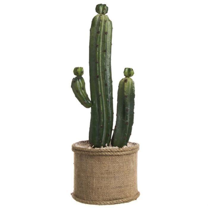 cactus artificielle achat vente cactus artificielle cactus artificielle achat vente cactus artificielle