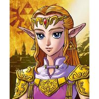 AFFICHE - POSTER PYRAMID Cadre Zelda 3D - To sheik - Lenticulaire AFFICHE - POSTER PYRAMID Cadre Zelda 3D - To sheik - Lenticulaire