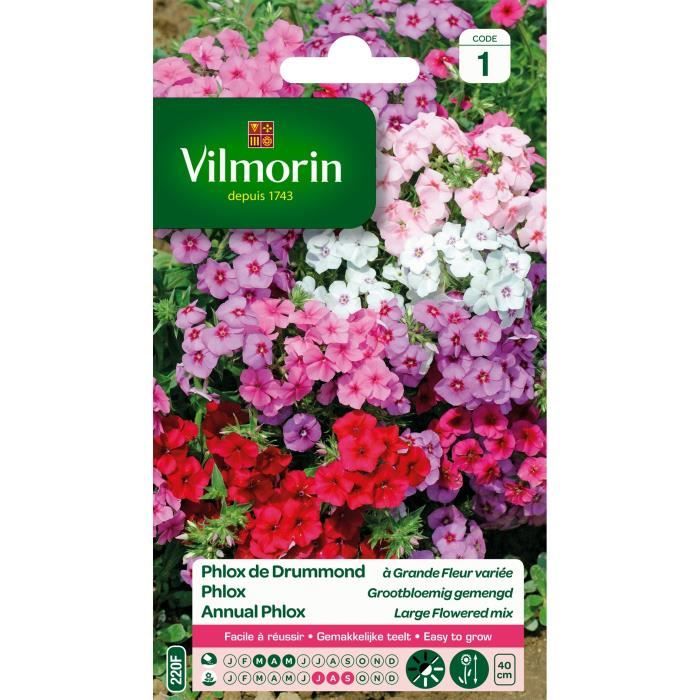 VILMORIN Phlox de Drummond a grande fleur varie