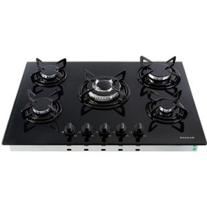 PLAQUE GAZ AREBOS Table de Cuisson à Gaz - Inox - 5 Brûleur -