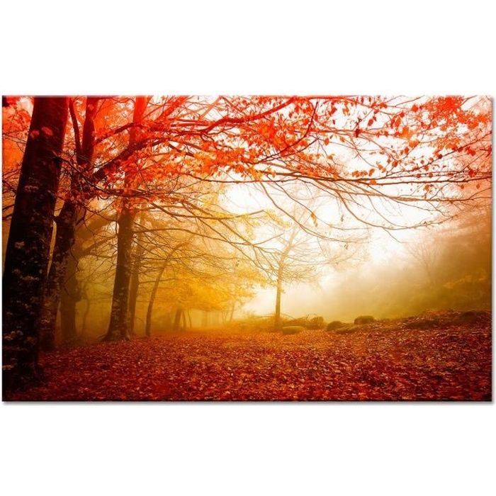 HDARTISAN Graffiti Toile Art Fleuri Fleurs Peinture