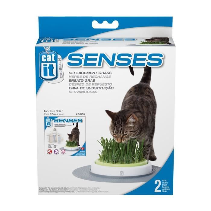 CAT IT Recharge jardin dherbe a chat Senses