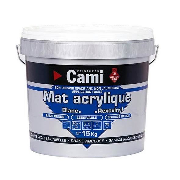 Peinture Mur Et Plafond Blanc Cami 000000977r8 Achat Vente