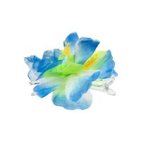 amscan Rideau de Porte Hawai Fleurs dhibiscus