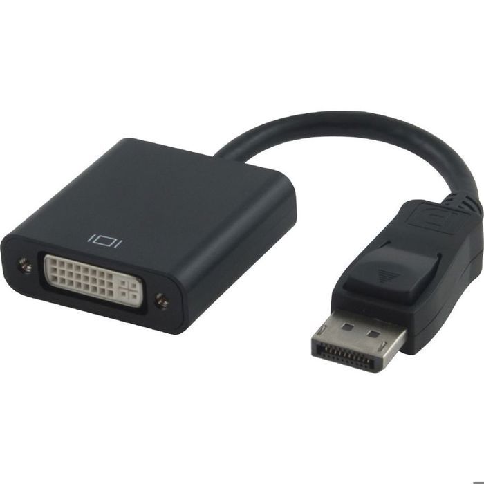 Linéaire adaptateur Display / DVI