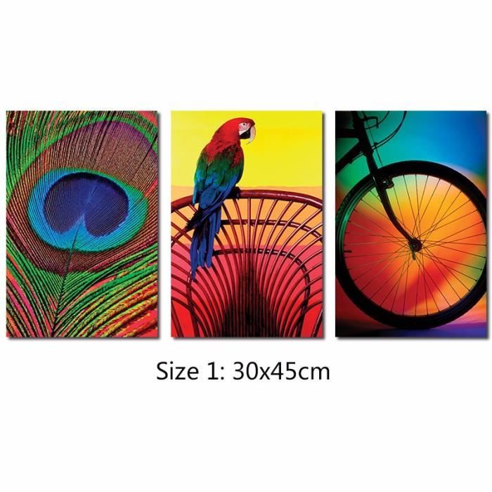 Couleurs Sans Cadre Arc En Ciel Paon Plume Décoration Mur Art Photos