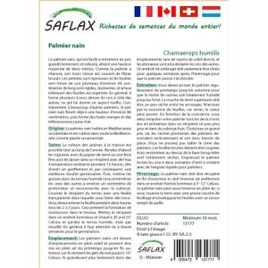 saflax jardin dans le sac palmier nain 10 gr