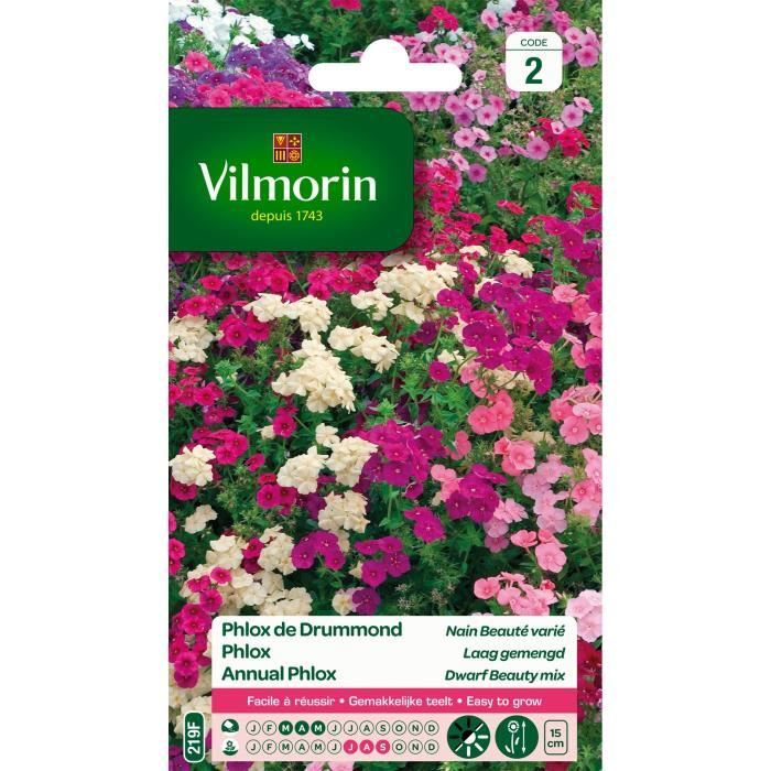 VILMORIN Phlox de Drummond nain beaute varié