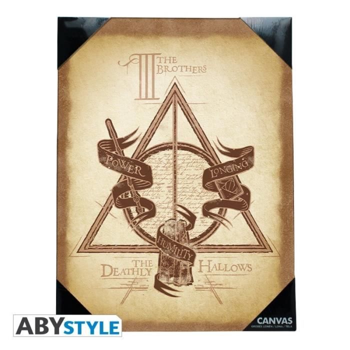 Toile Harry Potter - Reliques de la Mort (30x40) - ABYstyle