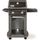 WEBER Barbecue à gaz Spirit EO-210 - 2 brûleurs -