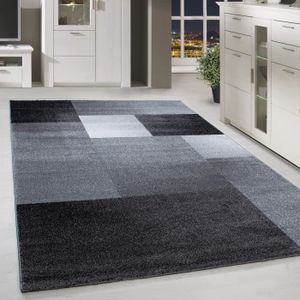TAPIS Tapis design contemporain poil court motif géométr