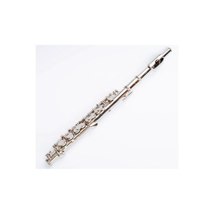 Flûte PICCOLO en UT avec Etui 15 Plateaux Pleins pas cher Achat / Vente flûte à bec Cdiscount