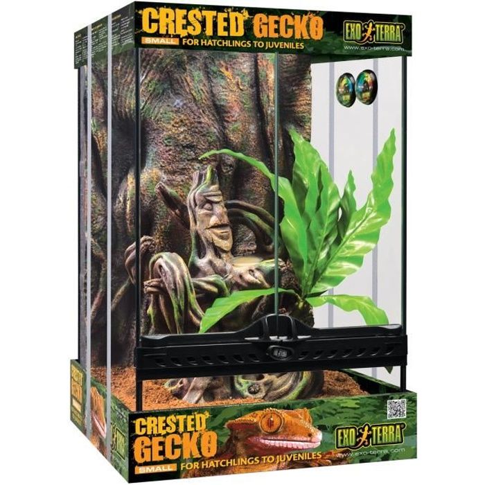 Kit Gecko Small Exo Terra Achat / Vente vivarium terrarium Kit