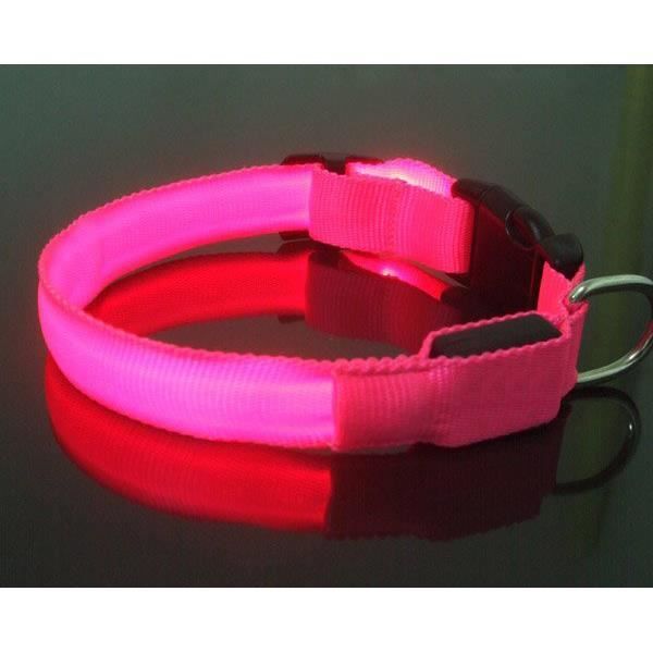 collier chien lumineux clignotant
