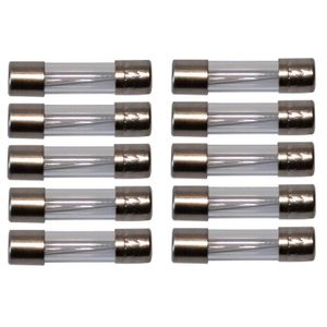 10x Fusible temporis/é en verre 800mA T 250VAC 5x20mm