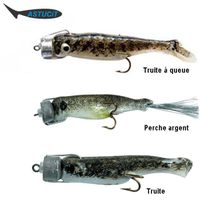 LEURRE DE PÊCHE LEURRE DE PECHE SURNAT PERCHE Modèle: ABLETTE 6C… LEURRE DE PÊCHE LEURRE DE PECHE SURNAT PERCHE Modèle: ABLETTE 6C…