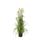MICA DECORATIONS POM Plante artificielle herbes pa