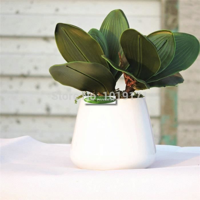 Artificielle Feuilles Vertes mousse Papillon Orchidée Soie Feuille Plante Maison Décoration