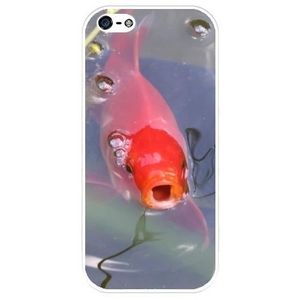 coque iphone 5 silicone poisson coque iphone 5 silicone poisson