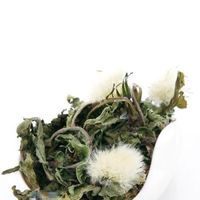 THÉ Thé au pissenlit 10g Organic Dandelion Tea Natural THÉ Thé au pissenlit 10g Organic Dandelion Tea Natural