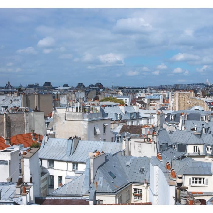PLAGE Sticker Mur d'image - Vue de Paris360 x 240 cm