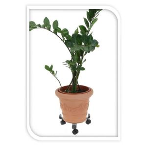 Support pot de fleur a roulette
