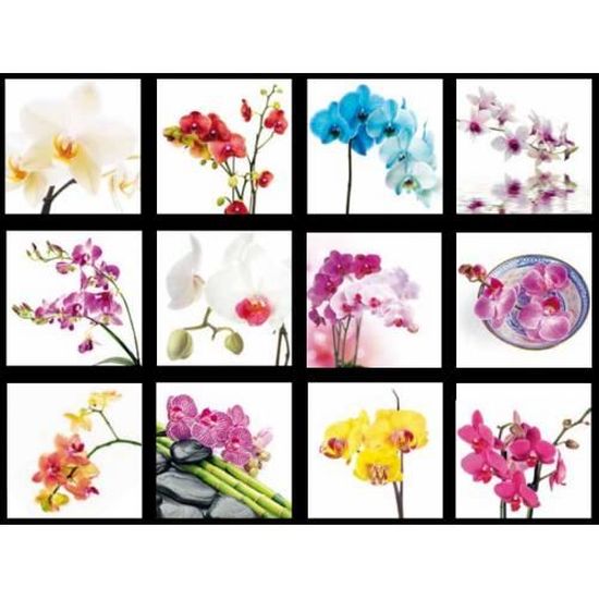 Calendrier 2018 Orchidées Achat Vente Calendrier - 