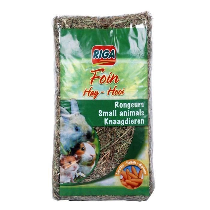 RIGA Lot de 2 Foins aux carottes pour rongeurs 500g