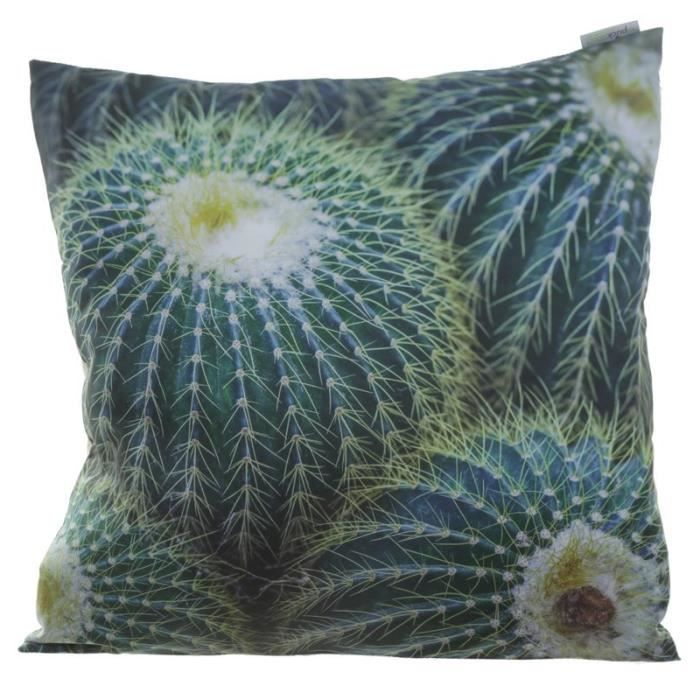 Coussin Photo Cactus - 50x50cm