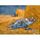 Tableau - Toile jaune