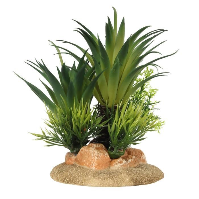 EBI Décor Sagoutier S - 13,5x10x16 cm - Pour aquarium