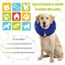 collier lune pour chien pas cher collier lune pour chien pas cher