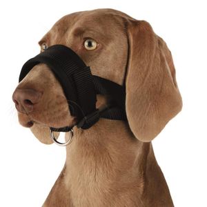 TRIXIE Museli?re sangle nylon - XL - Pour chien
