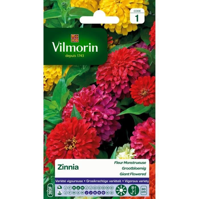VILMORIN Zinnia a fleur monstrueuse varie