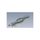 Catalyseur Renault Kangoo 1.9D F8Q