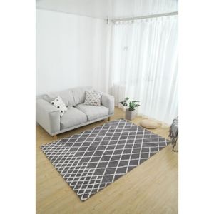TAPIS Tapis style berbère Indra gris clair 190 x 280 cm