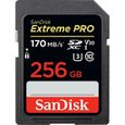 Carte mémoire SDXC SanDisk