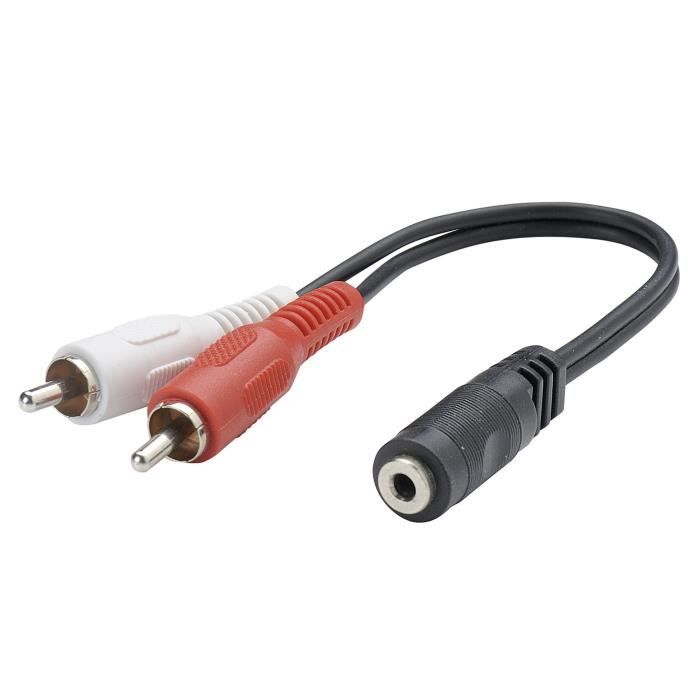 ERARD 1583 Adaptateur Jack 3,5mm filaires - 2 RCA Male / Jack 3,5 mm Femelle 20 cm