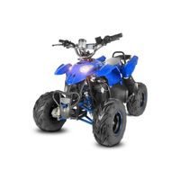 QUAD QUAD RAZER 100% ELECTRIQUE 800W QUAD QUAD RAZER 100% ELECTRIQUE 800W