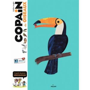 gros Mésange noir pipe