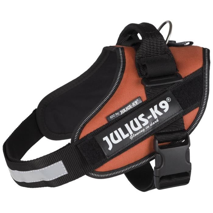 JULIUS-K9 Harnais Power IDC - 0 - M-L : 58-76 cm-40 mm - Orange cuivré - Pour chien
