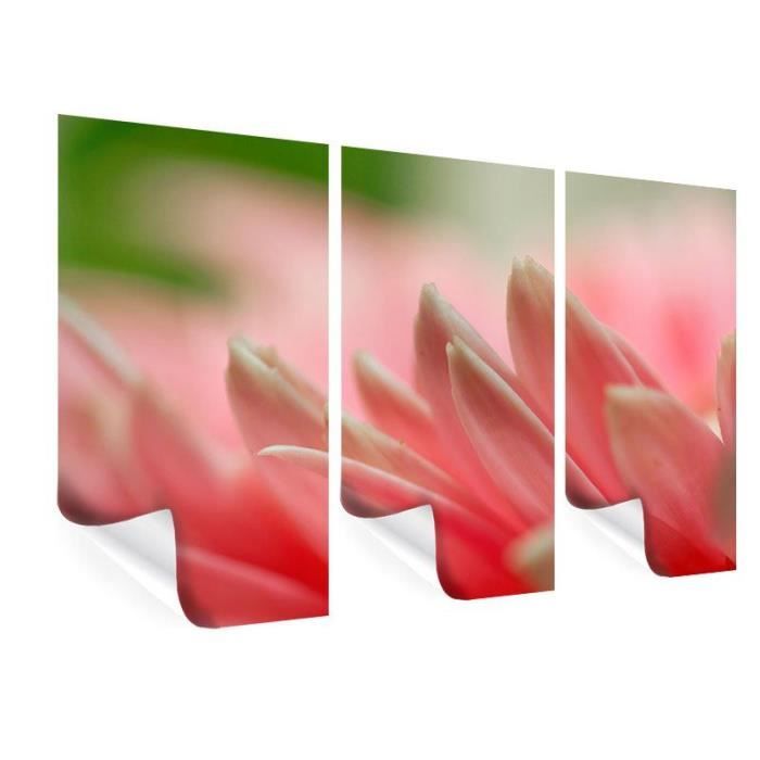 Poster En 3 Parties Gros Plan Dune Fleur 60 X 40 Cm Achat