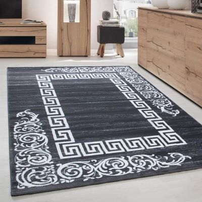 Tapis De Salon Moderne Designe Elegance Miami 6620 Gris