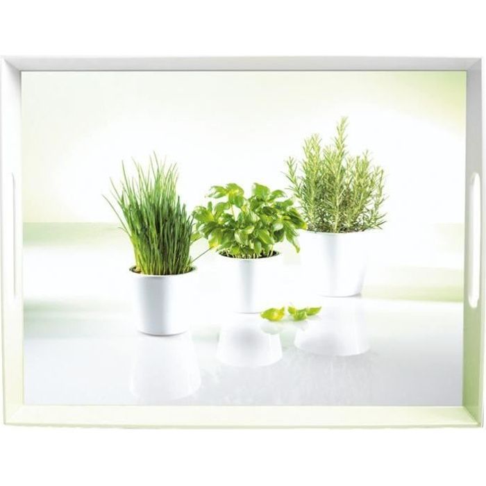 50 x 37 cm herbs   Achat / Vente PLAT DE SERVICE Plateau 50 x 37